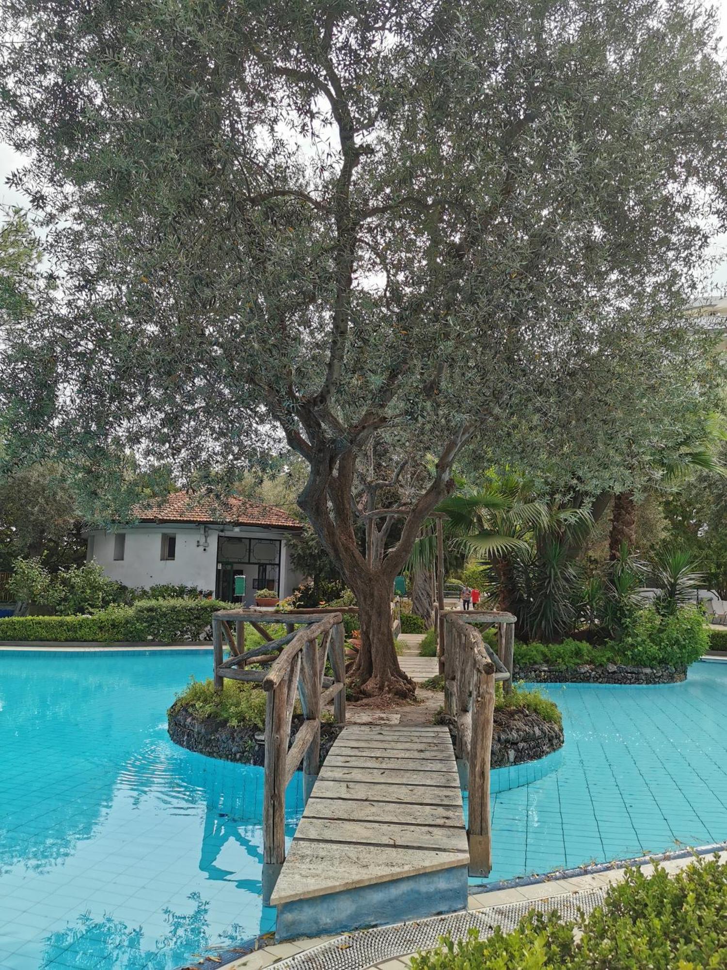 Casa Mar - Elegant Apartment With Pool And Panoramic Terrace In The Heart Of ソレント エクステリア 写真